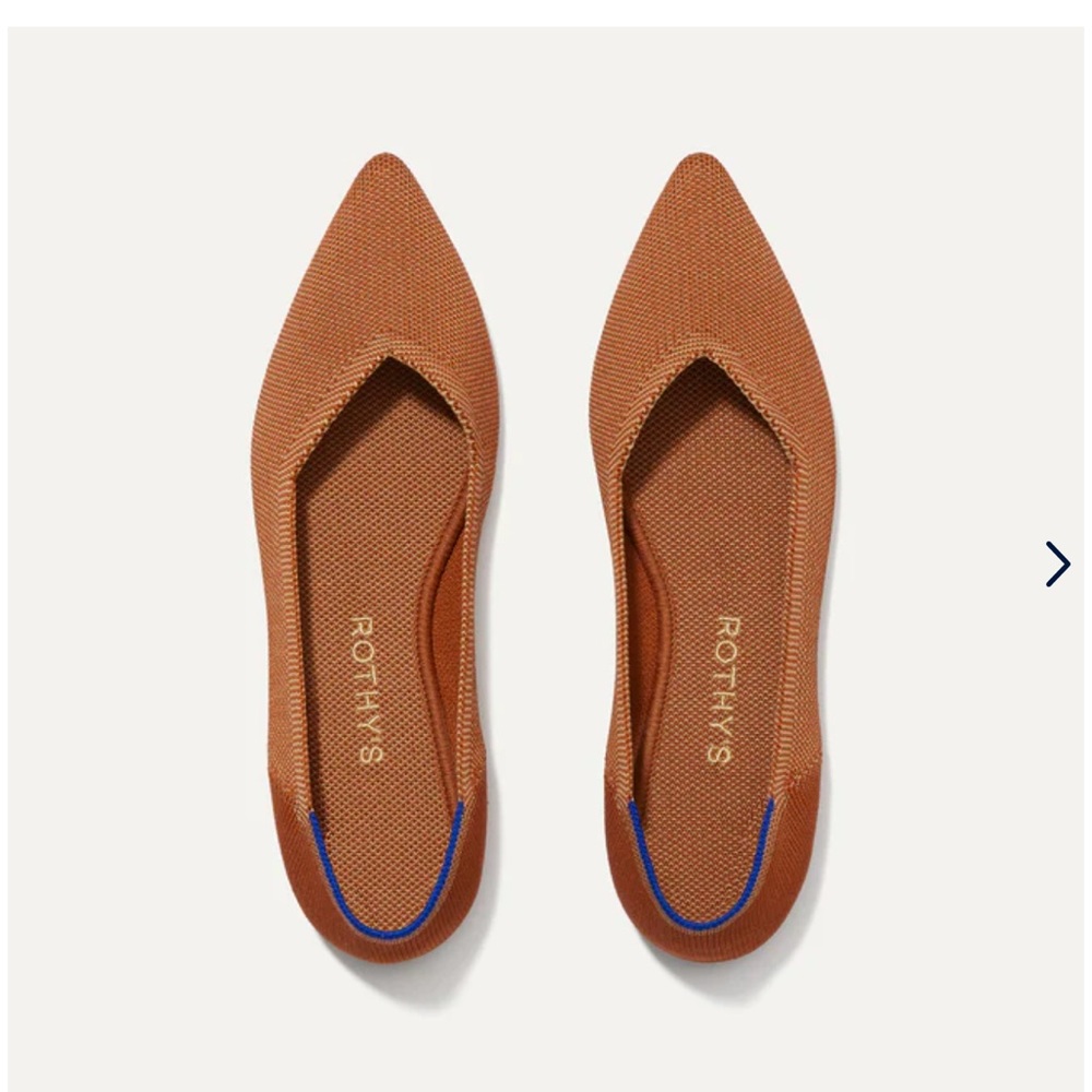 🌸 NIB ROTHY’s Fawn Pointed Flats size 9